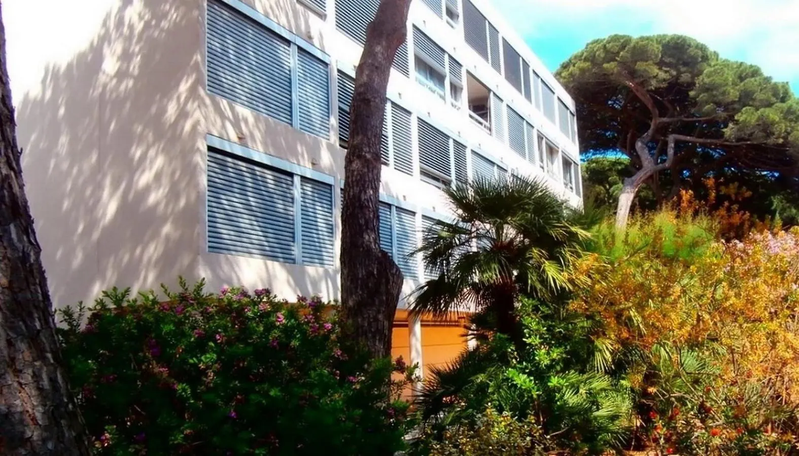 Studio Proche Port Et Plages, Au Calme Hyeres France