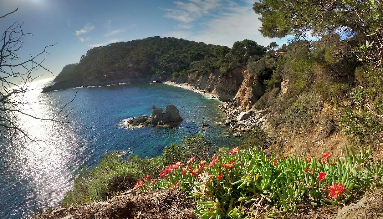Studio Proche Port Et Plages, Au Calme Hyeres 0*,  France